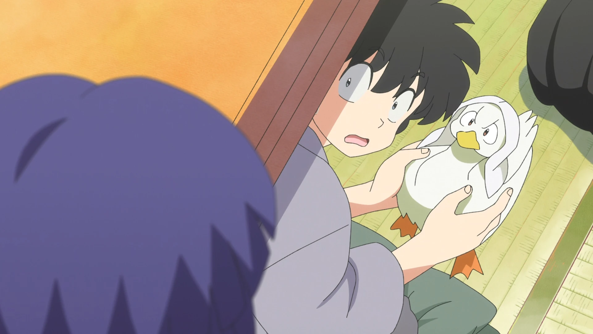 乱马1/2 第二季 第24话