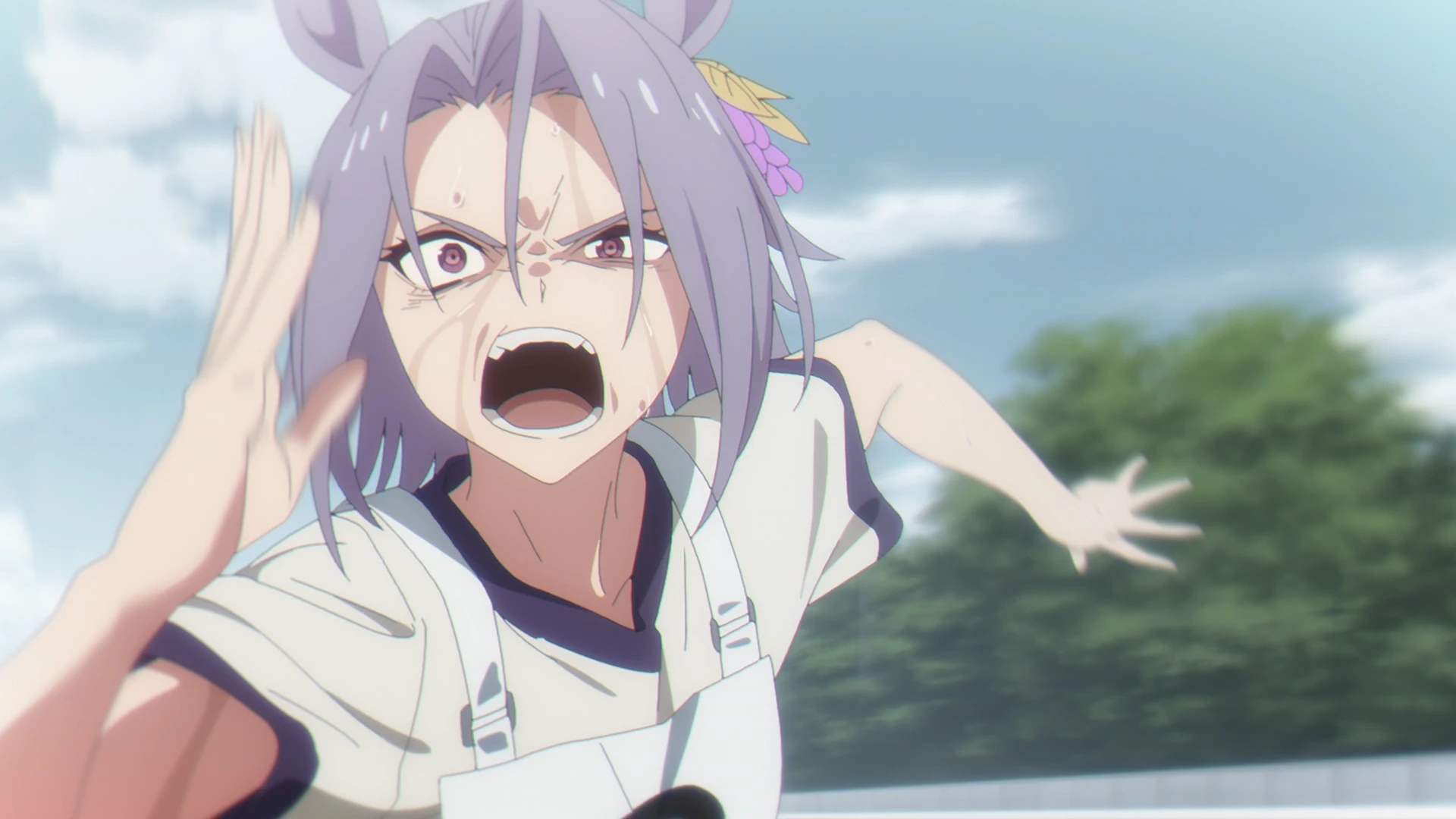 赛马娘 芦毛灰姑娘 第2部分 第14话