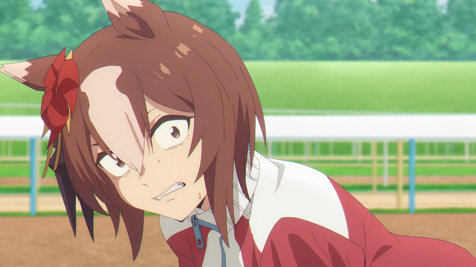 赛马娘 芦毛灰姑娘 第2部分 第14话