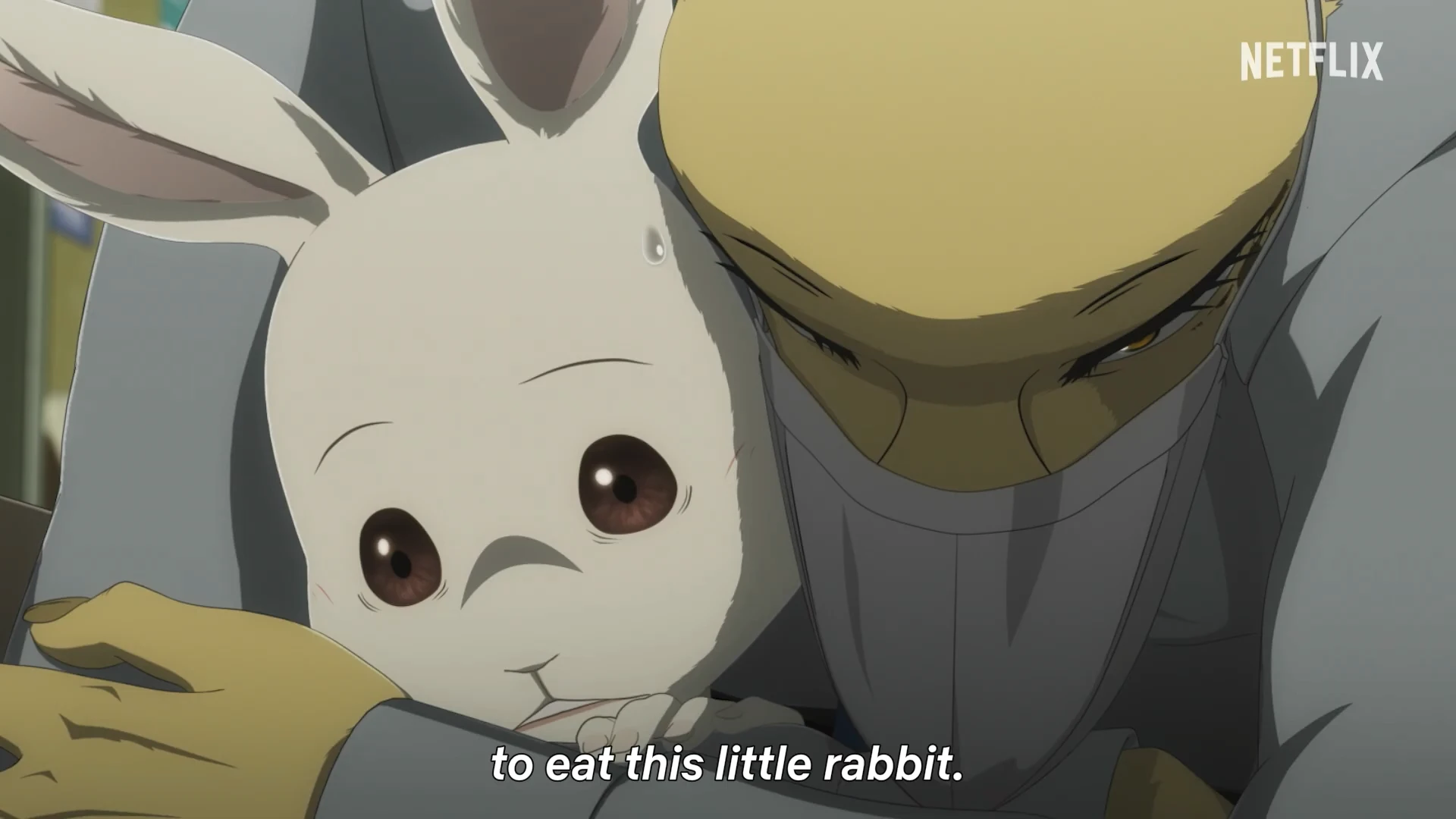 动物狂想曲 最终季 #2 官方PV